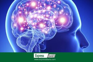 neuronas que controlan síntomas de fiebre y otras enfermedades