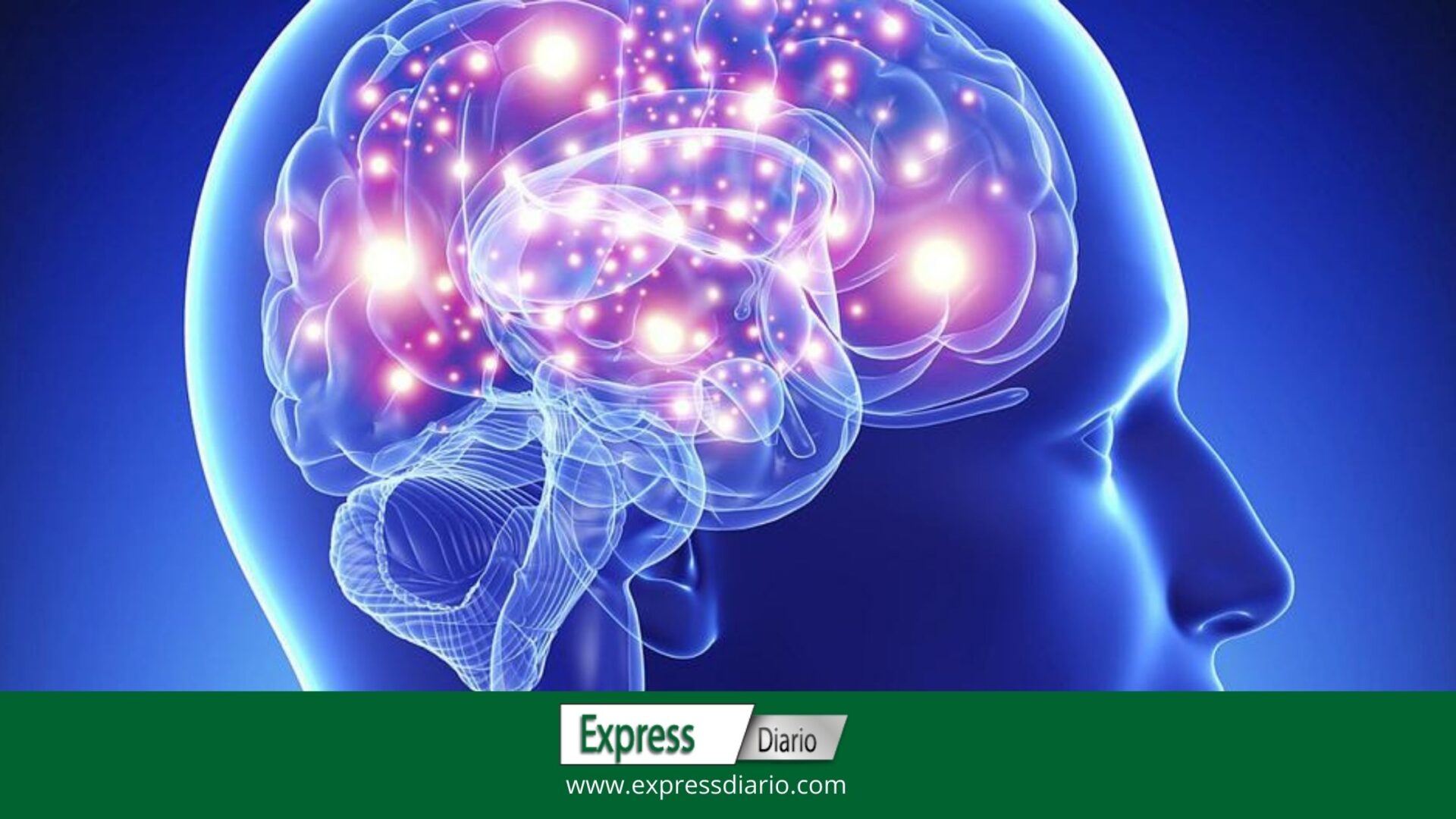 Descubrimiento de neuronas que controlan síntomas de fiebre y otras enfermedades Descubrimiento de neuronas que controlan síntomas de fiebre y otras enfermedades