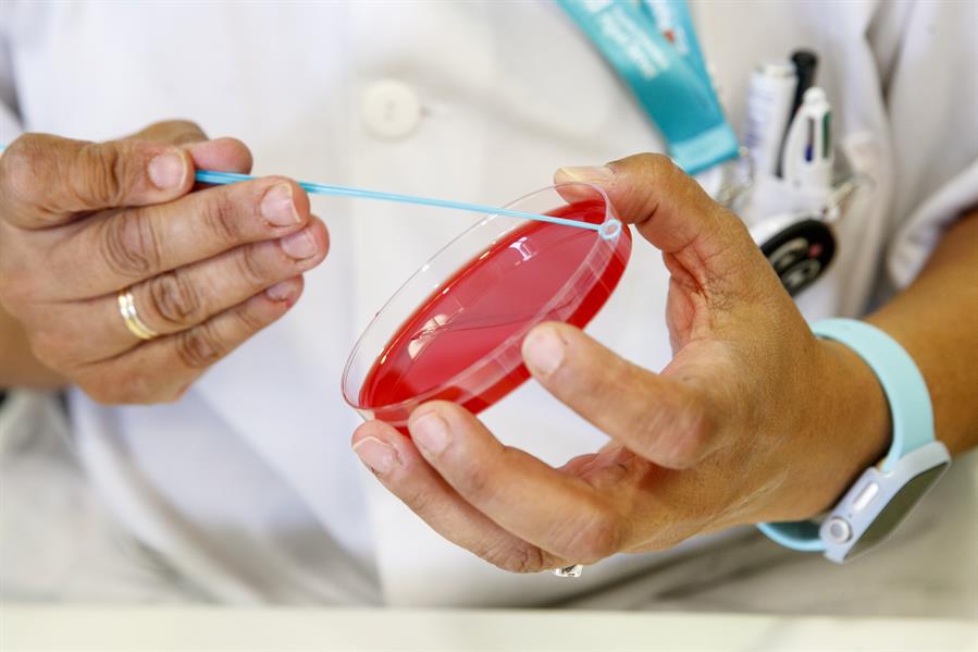 Descubren cómo el virus SARS-CoV-2 se comunica con las células humanas Descubren cómo el virus SARS-CoV-2 se comunica con las células humanas