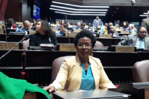 Diputado perredista afirma voto manual sería un revés para RD