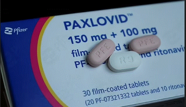 El medicamento Covid de Pfizer, Paxlovid, puede causar coágulos de sangre mortales, advierte un estudio El medicamento Covid de Pfizer, Paxlovid, puede causar coágulos de sangre mortales, advierte un estudio