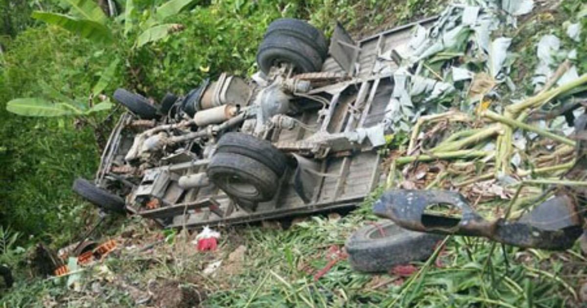 Vuelca camión lleno de pollos en Carretera Miches Vuelca camión lleno de pollos en Carretera Miches