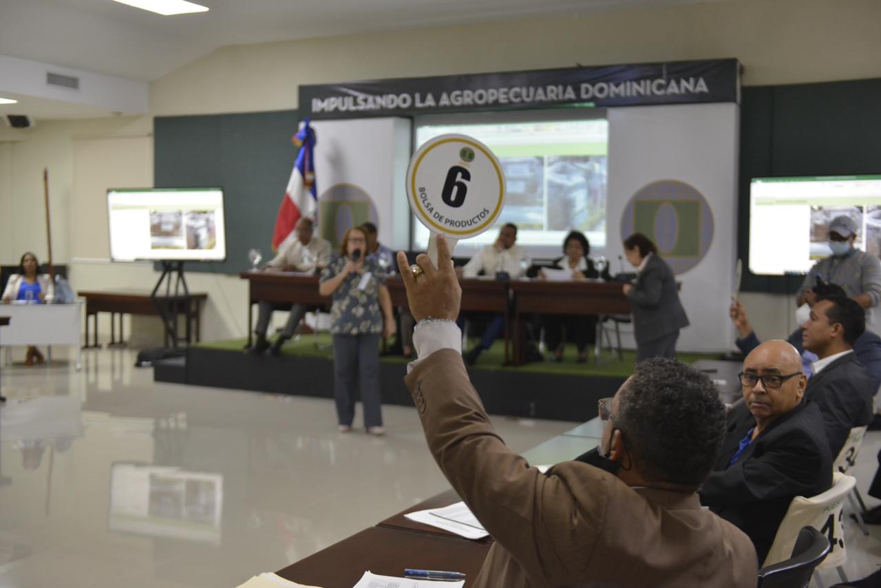 Aduana recauda RD6,184,276.13 en subastas públicas en 2022 Aduana recauda RD6,184,276.13 en subastas públicas en 2022