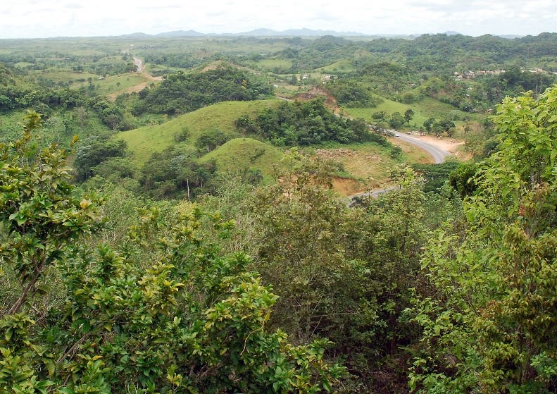 Ocho haitianos detenidos por cultivar en Los Haitises Ocho haitianos detenidos por cultivar en Los Haitises