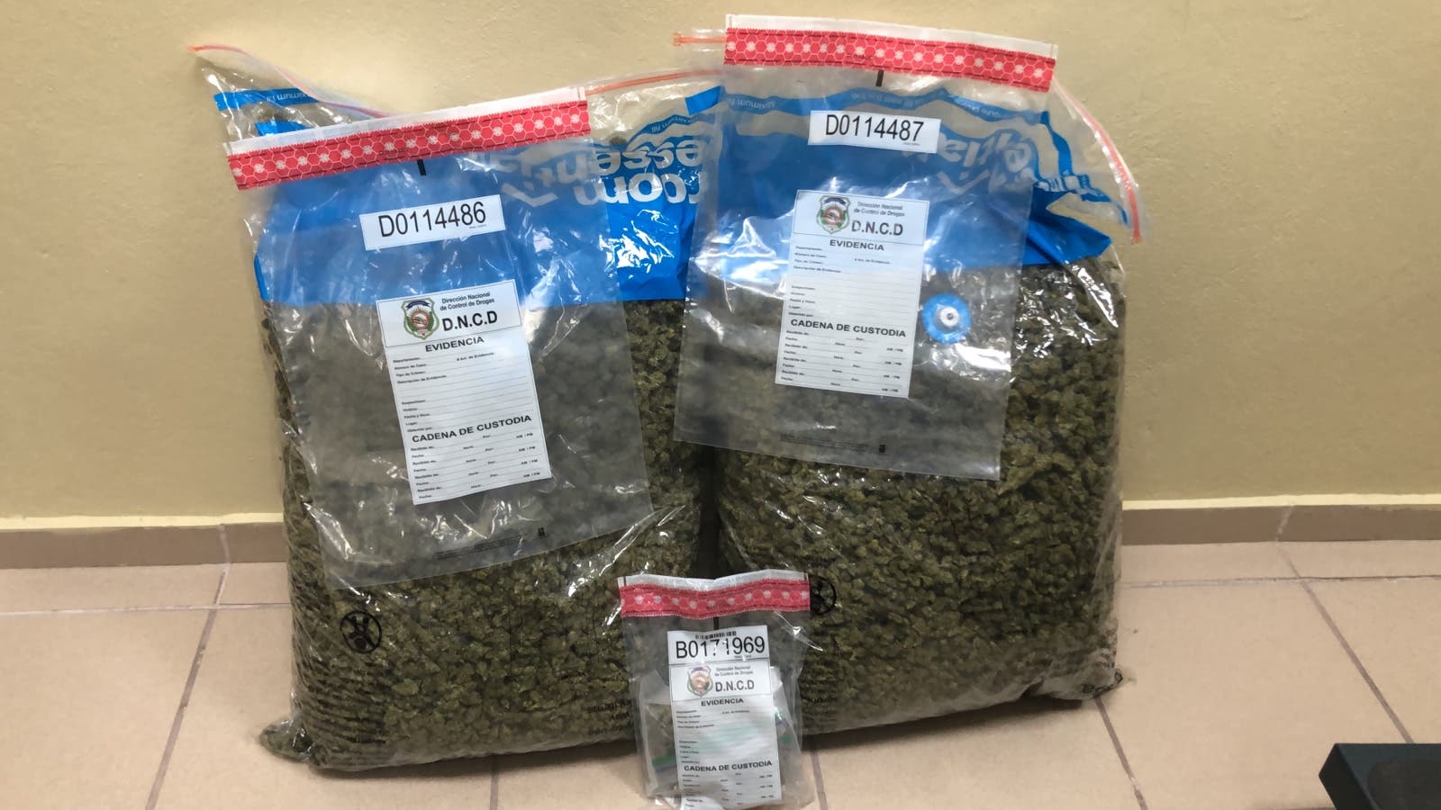 Detienen a mujer que llegó con 30 kilos de marihuana por el Cibao
