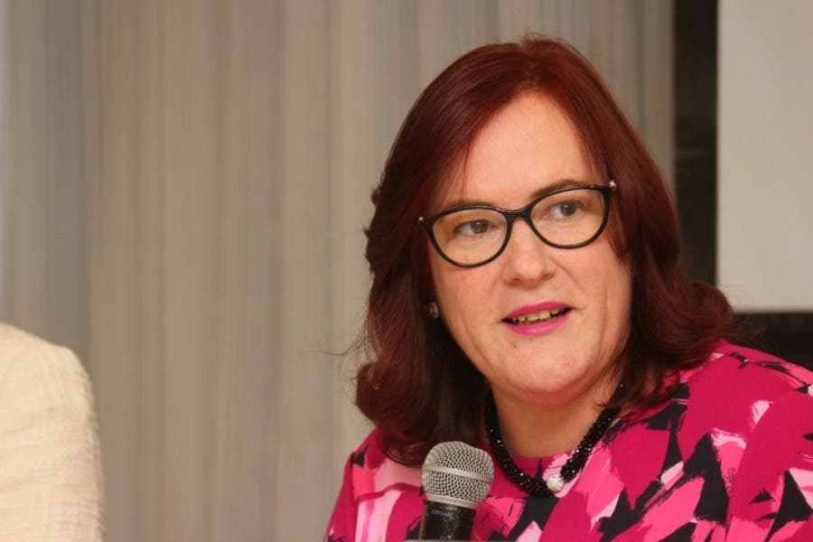 Janet Camilo critica la gestión de los alcaldes del Distrito Nacional