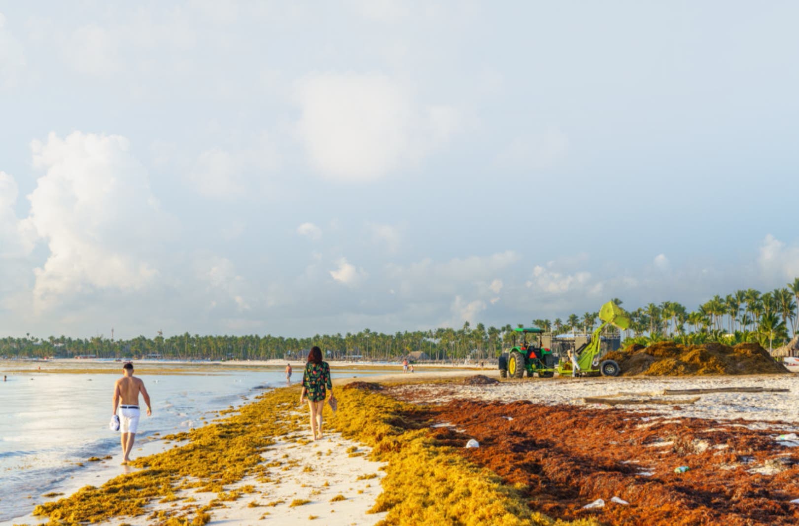 República Dominicana busca medidas contra llegada masiva de sargazo a la costa República Dominicana busca medidas contra llegada masiva de sargazo a la costa