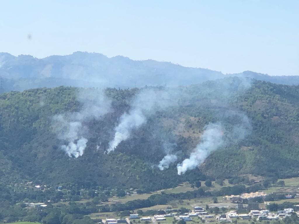 Gobierno afirma que incendio forestal en Valle Nuevo está bajo control