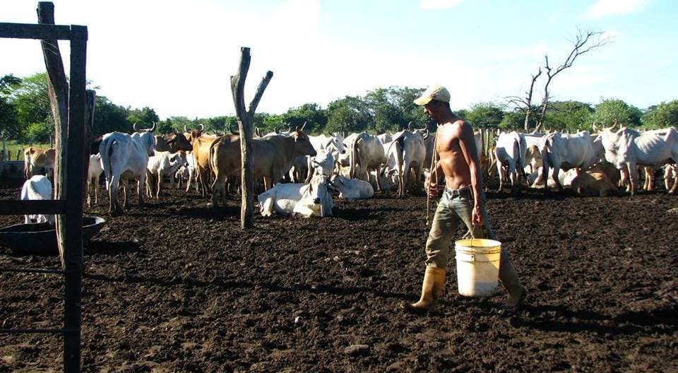 Gobierno toma medidas contra sequía estacional agravada por El Niño Gobierno toma medidas contra sequía estacional agravada por El Niño