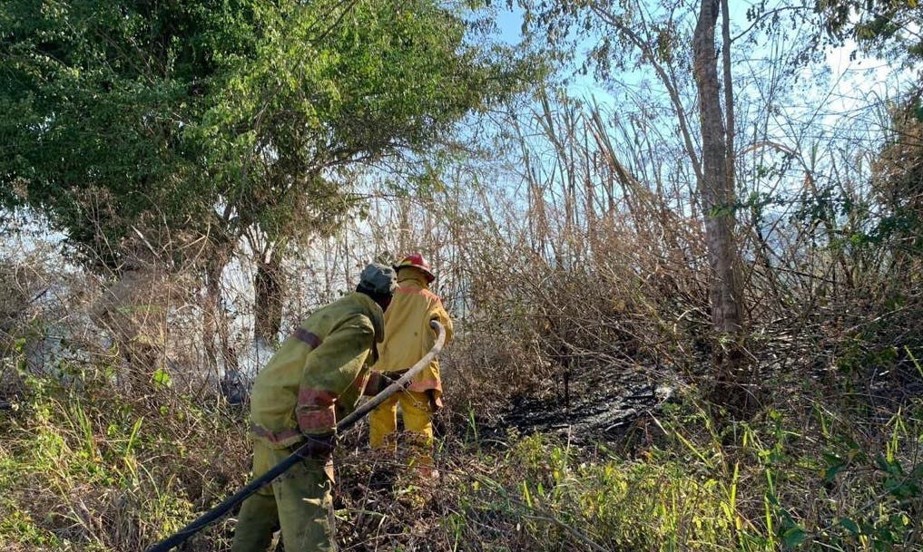 Medio Ambiente informa que incendio forestal en Valle Nuevo está bajo control