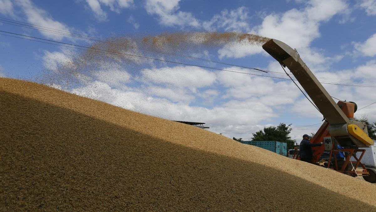 Bruselas propone otros 100 millones en ayudas al este para evitar el veto al cereal de Ucrania Bruselas propone otros 100 millones en ayudas al este para evitar el veto al cereal de Ucrania
