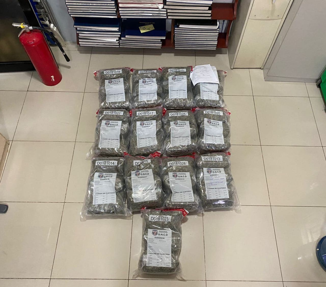 DNCD incautó 43 paquetes de marihuana y desmanteló centro de distribución DNCD incautó 43 paquetes de marihuana y desmanteló centro de distribución