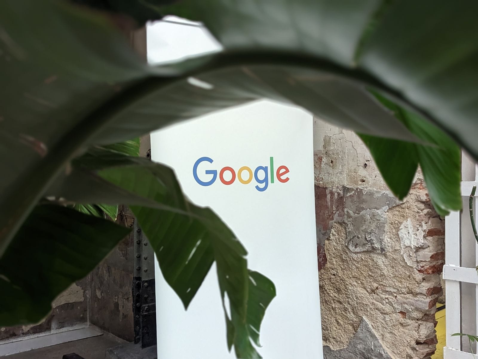Google prueba la búsqueda mixta en el sector moda