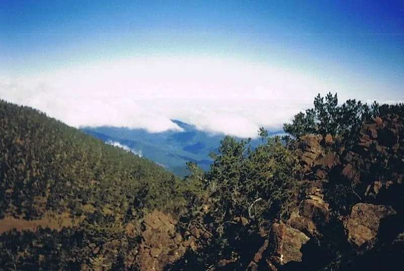 Jean Suriel: Lluvias apagaron incendio forestal en Pico Duarte Jean Suriel: Lluvias apagaron incendio forestal en Pico Duarte