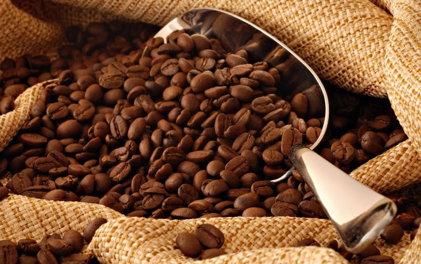 Las exportaciones de café suben 67 %