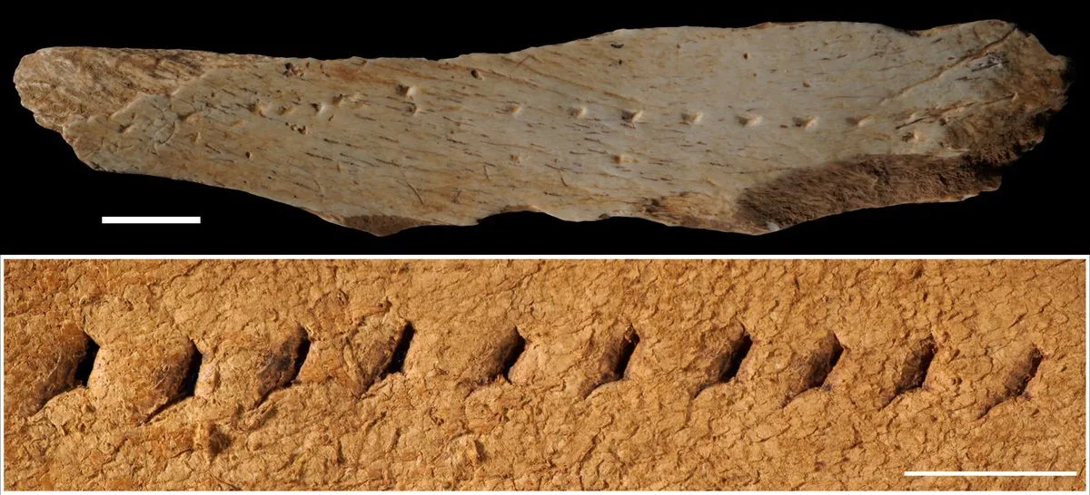 Los humanos ya cosían su ropa hace 40.000 años en la costa catalana
