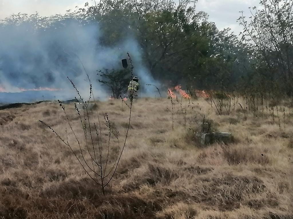 Medio Ambiente identifica a los presuntos autores de los incendios forestales, aunque no revela nombres Medio Ambiente identifica a los presuntos autores de los incendios forestales, aunque no revela nombres