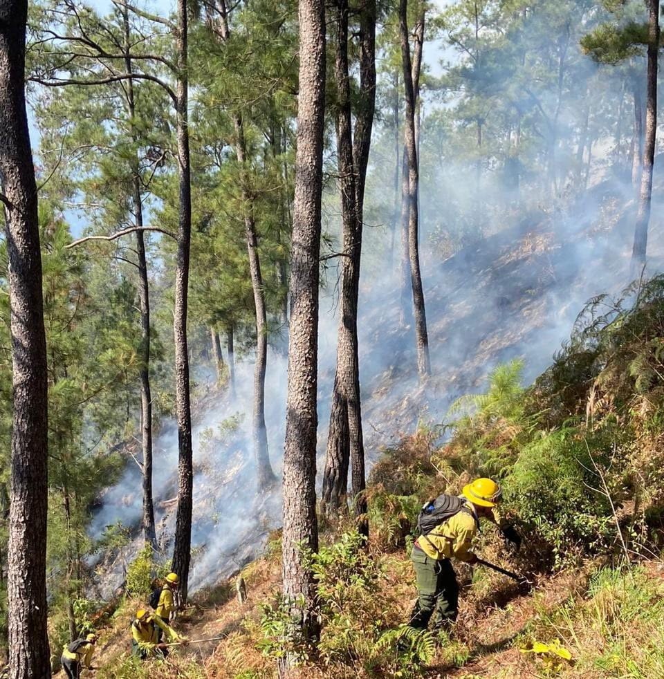 PLD lamenta mala respuesta de autoridades ambientales ante incendios forestales PLD lamenta mala respuesta de autoridades ambientales ante incendios forestales