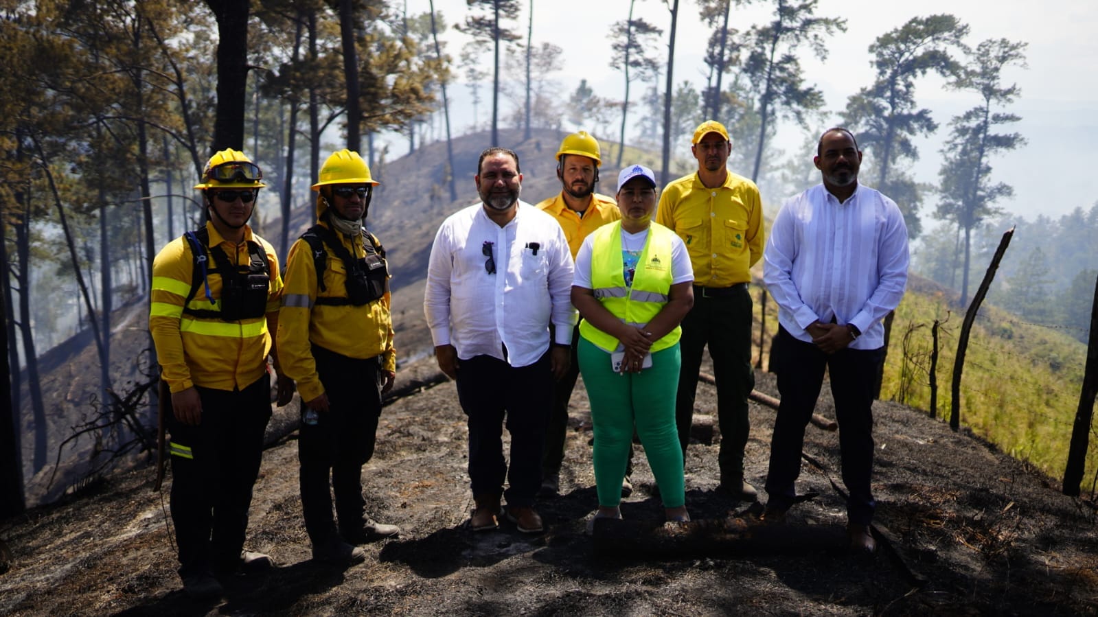 Senador Genao califica incendios forestales y vertederos como terrorismo ambiental