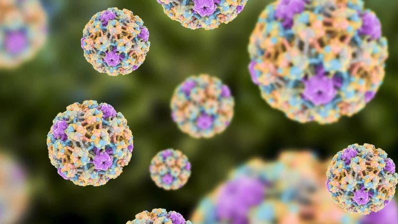 Cáncer de garganta: ¿por qué el sexo oral puede ser un factor de riesgo? Cáncer de garganta: ¿por qué el sexo oral puede ser un factor de riesgo?