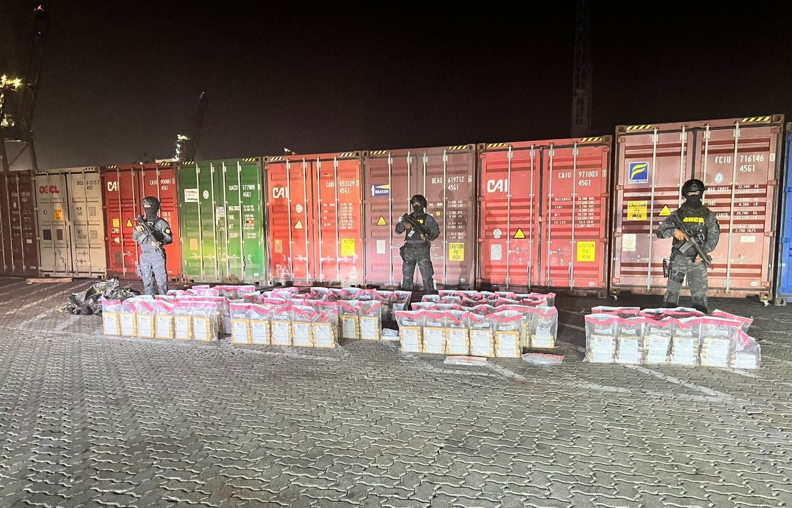 DNCD incauta 451 paquetes de coca dentro de un contenedor de pieles;  tenía como destino final Róterdam