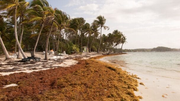 RD recibirá préstamo para programa de saneamiento en localidades turísticas y costeras