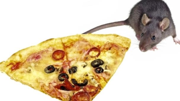 Cada día 1,6 millones de personas se enferman por alimentos contaminados, advierte la OMS