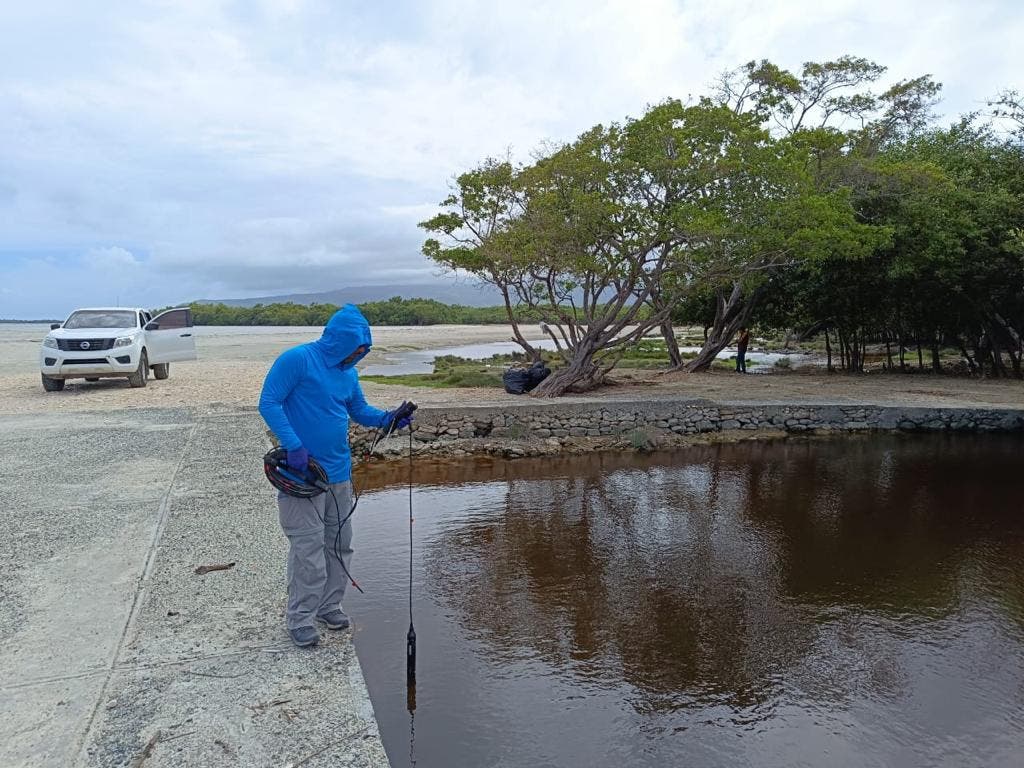 Contaminantes de actividades agrícolas habrían provocado muertes de peces en Azua Contaminantes de actividades agrícolas habrían provocado muertes de peces en Azua
