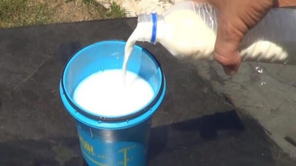 ¡Intoxicación en San Cristóbal: Consumo accidental de chocolate contaminado con insecticida!