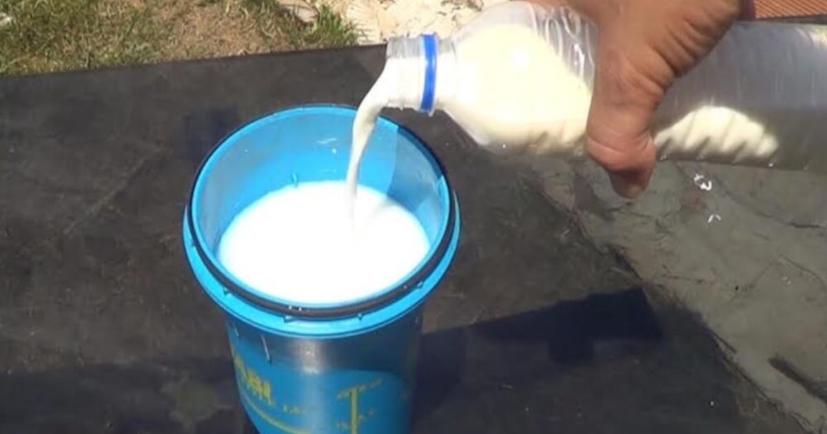 ¡Intoxicación en San Cristóbal: Consumo accidental de chocolate contaminado con insecticida!