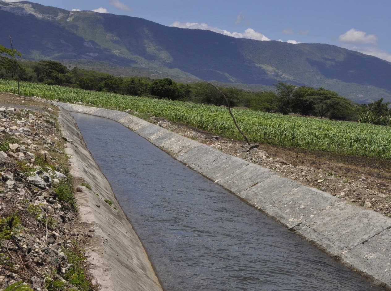 Innovación agrícola permite producir más en menos tierras Innovación agrícola permite producir más en menos tierras