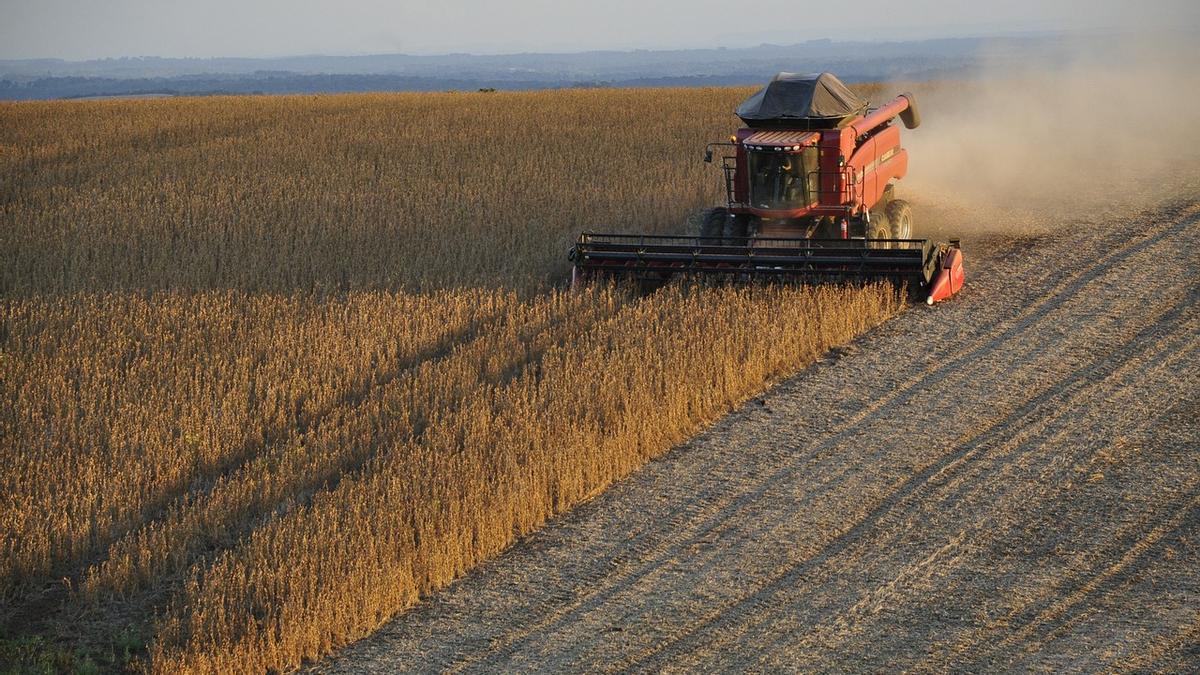 La negociación cuesta arriba de la ONU para evitar el fin del acuerdo sobre el grano de Ucrania
