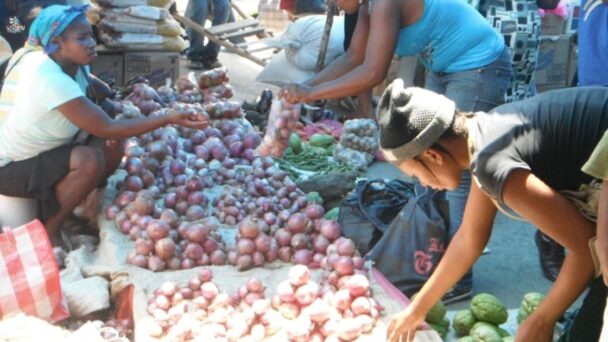 Desafíos en la Frontera: Asentamientos Haitianos Transforman Vidas en Elías Pina