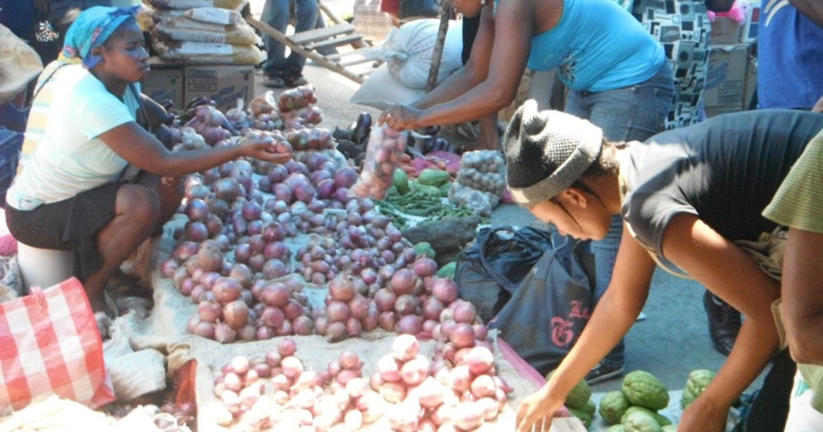 Desafíos en la Frontera: Asentamientos Haitianos Transforman Vidas en Elías Pina