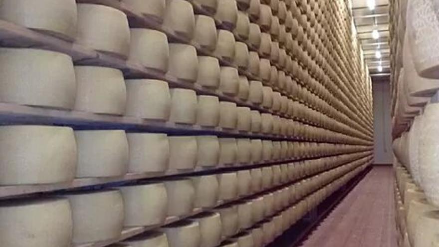 Muere un empresario italiano al ser aplastado por 25.000 quesos Grana Padano Muere un empresario italiano al ser aplastado por 25.000 quesos Grana Padano
