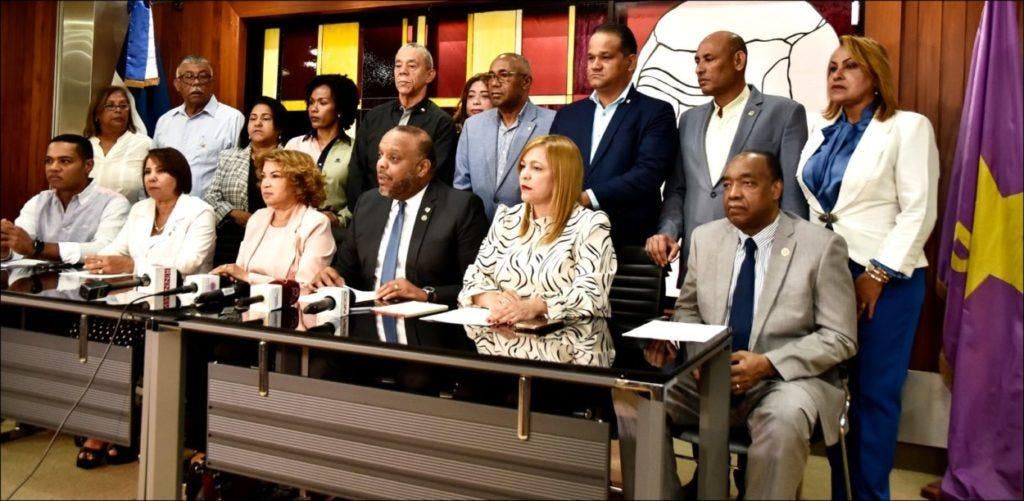 PLD considera que negligencia del Gobierno provocó brote de dengue