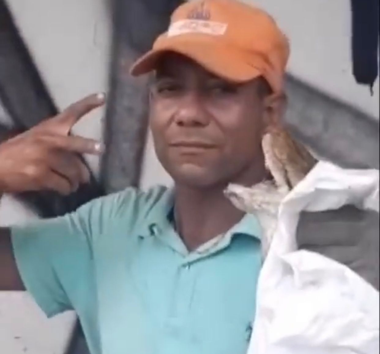 Medio Ambiente llama a la población a proteger a las serpientes criollas desplazadas por las inundaciones, sin alarma