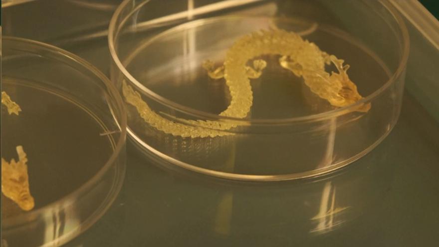 Científicos chinos exploran la impresión 3D micro-nano para producir objetos complejos Científicos chinos exploran la impresión 3D micro-nano para producir objetos complejos