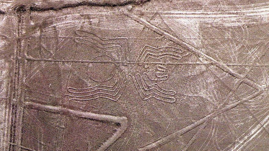 Una Avioneta Con Turistas Aterriza De Emergencia Sobre Las Líneas De ...