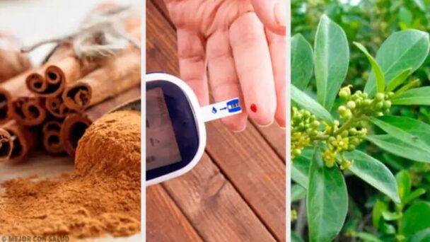 7 Plantas medicinales para el control de la diabetes: un enfoque natural