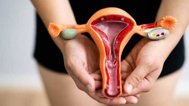 Cómo ocurre la menstruación y por qué a algunas mujeres les duele más que a otras