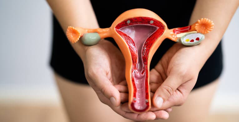 Cómo ocurre la menstruación y por qué a algunas mujeres les duele más que a otras Cómo ocurre la menstruación y por qué a algunas mujeres les duele más que a otras