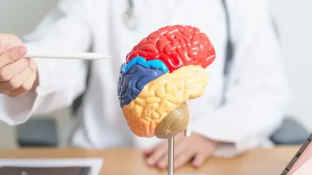 Beneficios del magnesio para tu cerebro