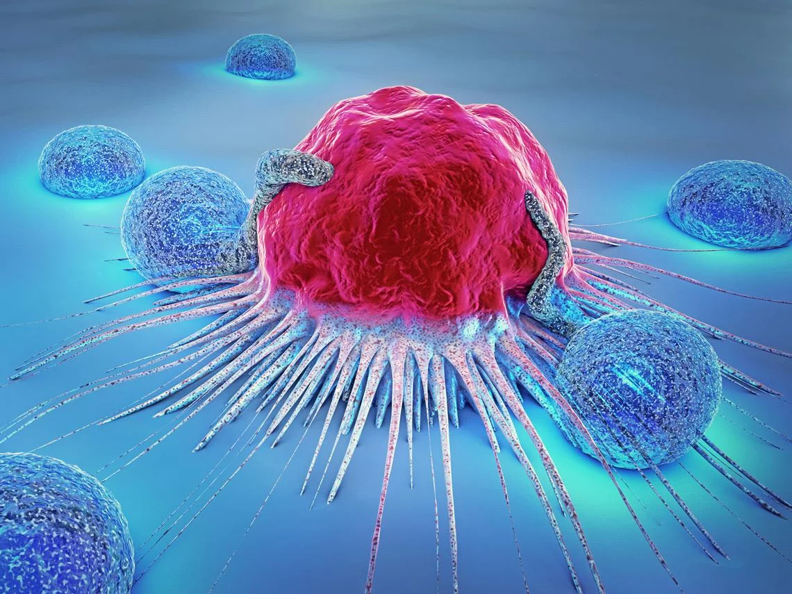 Sociedad de Oncología Médica revela muchos jóvenes sufren de cáncer